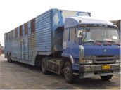 全封閉4橋車